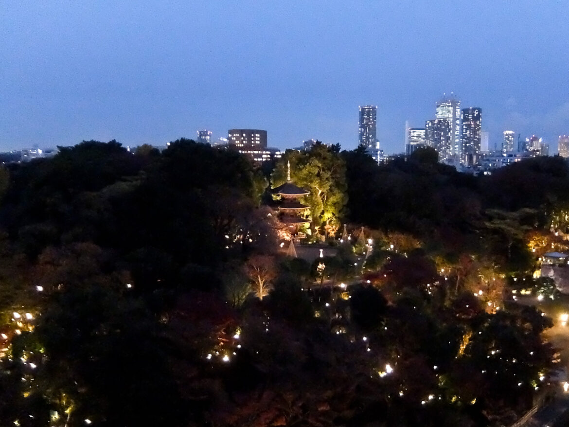 Hotel Chinzanso Tokyo Night View