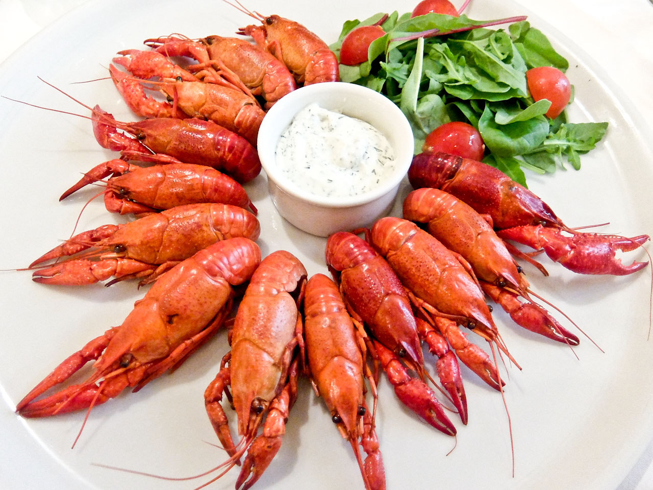lokys-crayfish