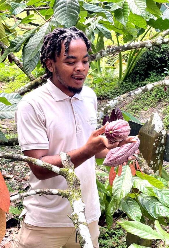 cocao